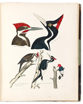 (NATURAL HISTORY.) Alexander Wilson; and Charles Lucien Bonaparte. American Ornithology;